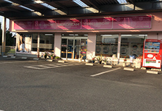 コインランドリー　ランドリームサフラン甘木店